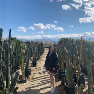 Meet your Posher, Iliana